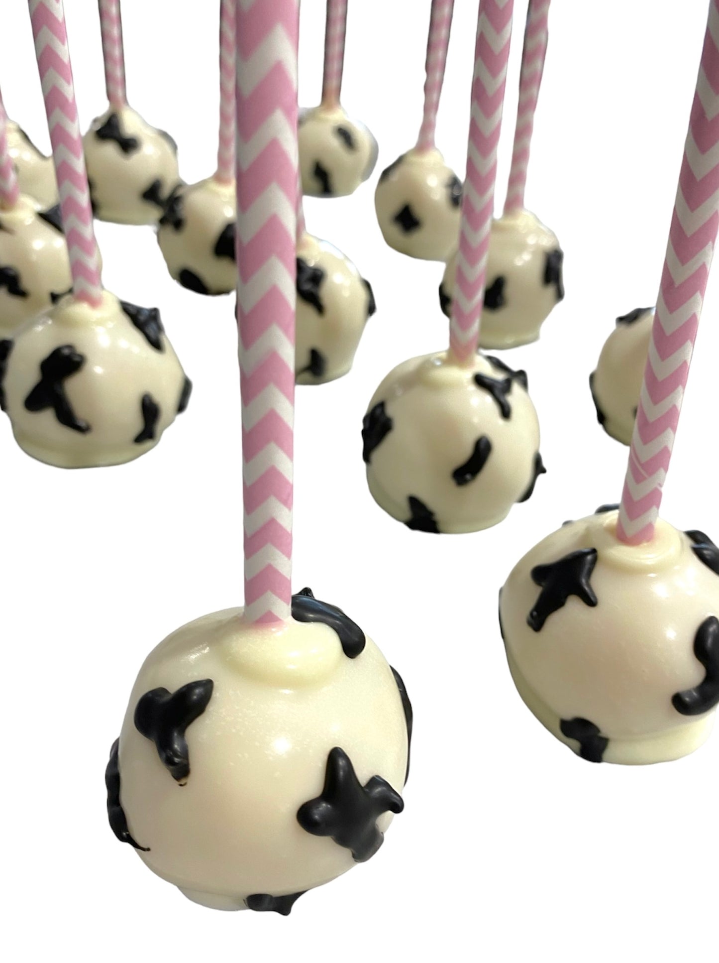 Cake Pops (Basic) - 12 Pack